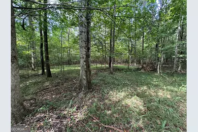 119 Hough Johnson Road, Haddock, GA 31033 - Photo 17