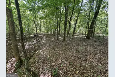119 Hough Johnson Road, Haddock, GA 31033 - Photo 33