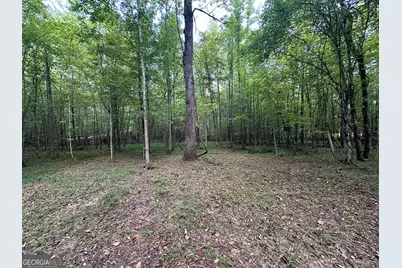 119 Hough Johnson Road, Haddock, GA 31033 - Photo 9