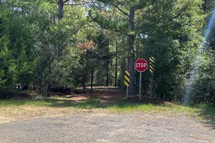 119 Hough Johnson Rd, Haddock, GA 31033 - Photo 1