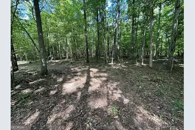 119 Hough Johnson Road, Haddock, GA 31033 - Photo 29