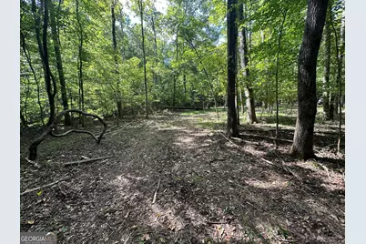 119 Hough Johnson Road, Haddock, GA 31033 - Photo 31