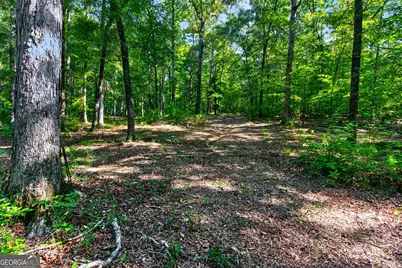 Tract 2A1-C Salem Road, Lagrange, GA 30241 - Photo 19