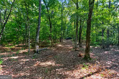 Tract 2A1-C Salem Road, Lagrange, GA 30241 - Photo 21