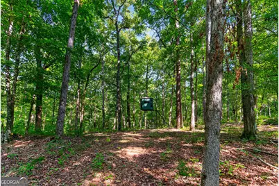 Tract 2A1-C Salem Road, Lagrange, GA 30241 - Photo 17