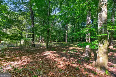 Tract 2A1-C Salem Road, Lagrange, GA 30241 - Photo 13