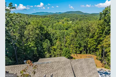 15662 Highway 197 N, Clarkesville, GA 30523 - Photo 39