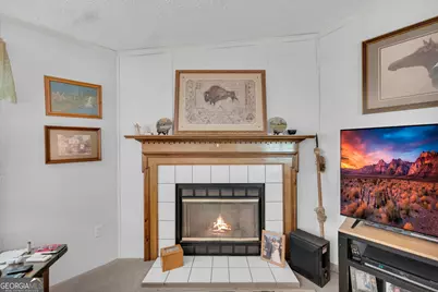 281 Summit Drive, Alto, GA 30510 - Photo 13