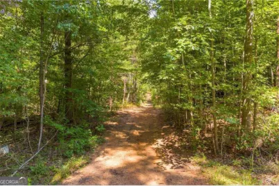 311 Caprice Drive, Martin, GA 30557 - Photo 15