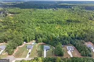 164 Oak Haven Ln, Barnesville, GA 30204 - Photo 55