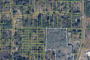 34 Parham St, Warm Springs, GA 31830 - Photo 1