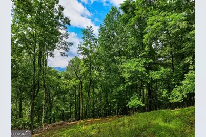 1220 Walnut Ridge, Ellijay, GA 30536 - Photo 43