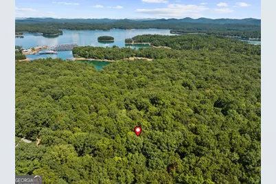 32 Squirrel Trail, Blue Ridge, GA 30513 - Photo 29