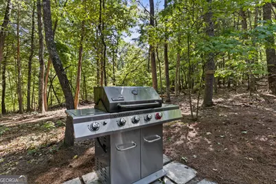 32 Squirrel Trail, Blue Ridge, GA 30513 - Photo 33