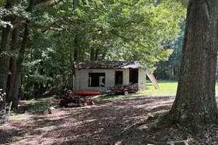588 Hickman Fork Rd, Thomaston, GA 30286 - Photo 33