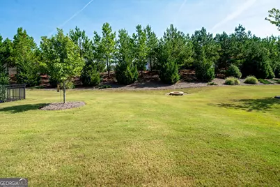 252 Silver Maple Court, Peachtree City, GA 30269 - Photo 23