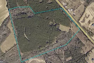 0 E Hwy 86, Lyons, GA 30436 - Photo 1
