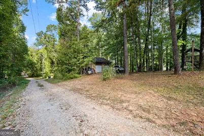 269 Roy Road, Sharpsburg, GA 30277 - Photo 99