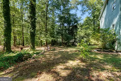 269 Roy Road, Sharpsburg, GA 30277 - Photo 87