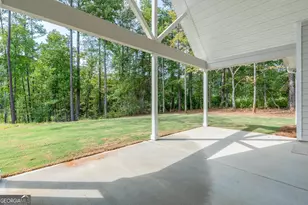 2424 Fischer Rd, Sharpsburg, GA 30277 - Photo 13