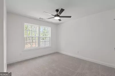 2424 Fischer Road, Sharpsburg, GA 30277 - Photo 39