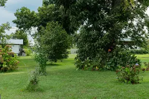 27 Patricia Ln, Hazlehurst, GA 31539 - Photo 3