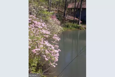 25 Clayton Chester Road, Dawsonville, GA 30534 - Photo 185