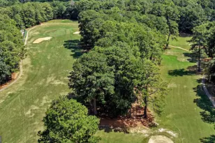 33 Tanager Ct, Monticello, GA 31064 - Photo 29