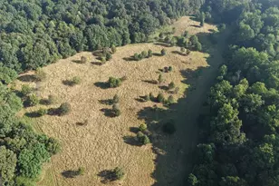 2000 Sandy Cross Rd, Royston, GA 30662 - Photo 37