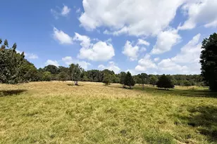 2000 Sandy Cross Rd, Royston, GA 30662 - Photo 29