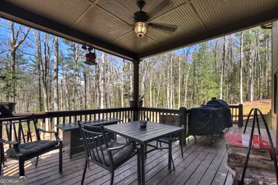 175 Mountain Springs Road, Ellijay, GA 30540 - Photo 43