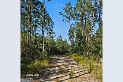 0 Mill Branch Club Road Lot 1P, Pembroke, GA 31321 - Photo 1
