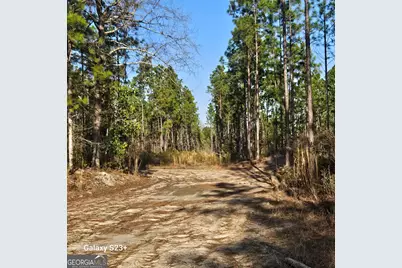 0 Mill Branch Club Road Lot 1N, Nevils, GA 31321 - Photo 5