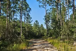 0 Ml Br Clb Rd Lot 1N, Nevils, GA 31321 - Photo 1