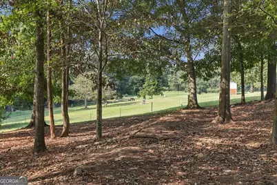145 Gumlog Grove Road, Lavonia, GA 30553 - Photo 51