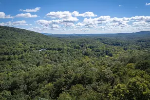 910 Foot Hills Dr, Cleveland, GA 30528 - Photo 3