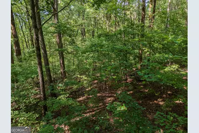 0 Clearview Drive, Talking Rock, GA 30175 - Photo 9