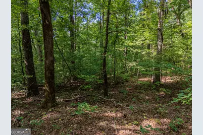 0 Clearview Drive, Talking Rock, GA 30175 - Photo 7
