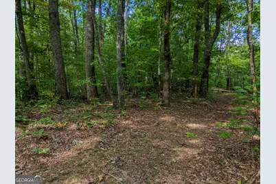 0 Clearview Drive, Talking Rock, GA 30175 - Photo 5