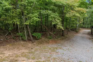 0 Clearview Dr, Talking Rock, GA 30175 - Photo 1