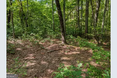 0 Clearview Drive, Talking Rock, GA 30175 - Photo 3
