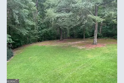 345 Little Creek Drive, Sharpsburg, GA 30277 - Photo 21