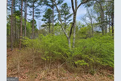 0.53 Acres Maddox Lake Road, Summerville, GA 30747 - Photo 3