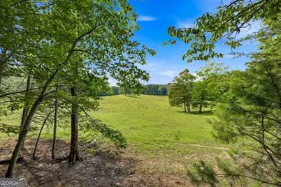 232 Sunburst Lane, Clarkesville, GA 30523 - Photo 45