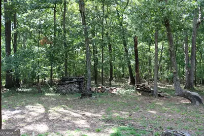2096 Roy Woods Road, Comer, GA 30629 - Photo 45