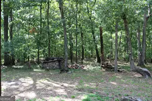 2096 Roy Woods Rd, Comer, GA 30629 - Photo 45