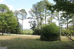 2096 Roy Woods Rd, Comer, GA 30629 - Photo 25