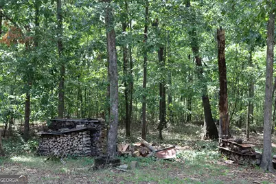2096 Roy Woods Road, Comer, GA 30629 - Photo 37