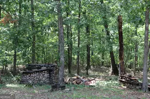 2096 Roy Woods Rd, Comer, GA 30629 - Photo 37