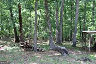 2096 Roy Woods Rd, Comer, GA 30629 - Photo 43